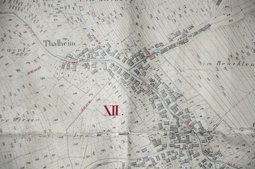 Talheim mössingen thalheim - talheim/mössingen, ("thalheim